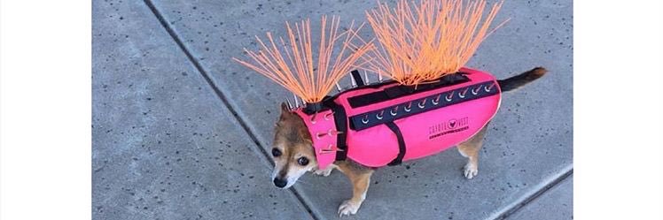 Jawncy's profile banner image