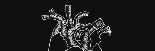 Everette banner