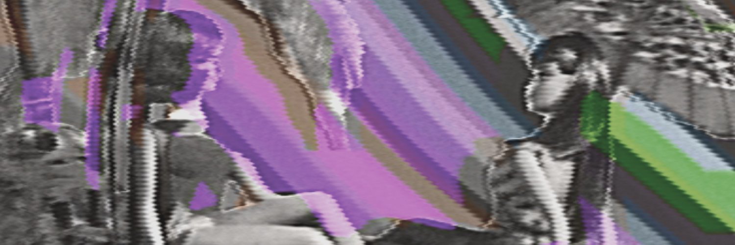 allison tanenhaus banner