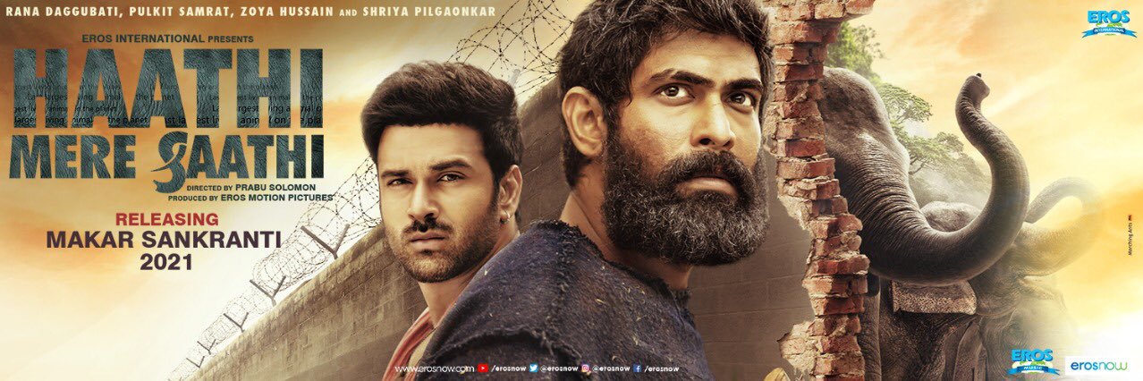 Eros Motion Pictures banner