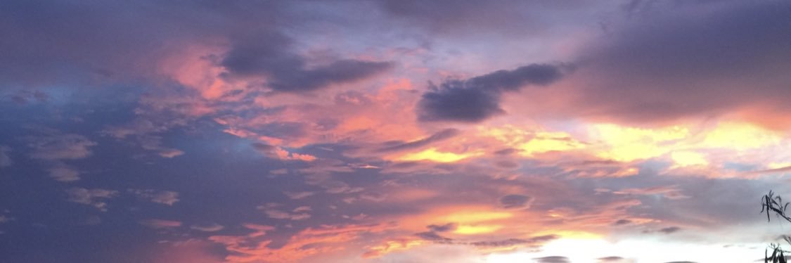 winepapi6's profile banner image
