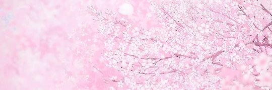 priilz's profile banner image