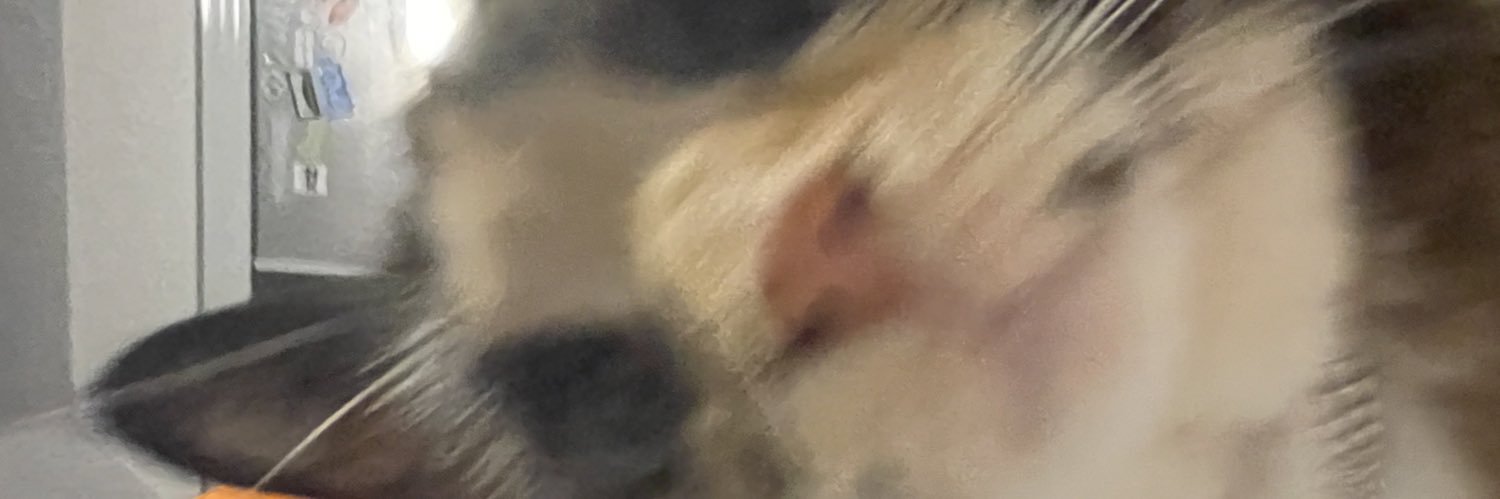 thatsjustteej's profile banner image