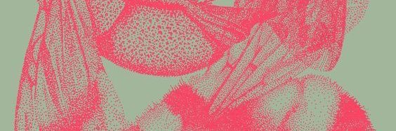 b banner