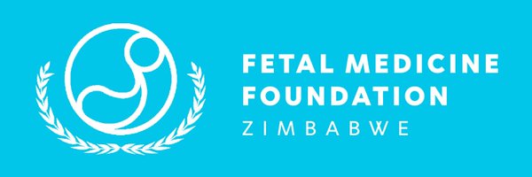 FMFoundationZim Profile Banner