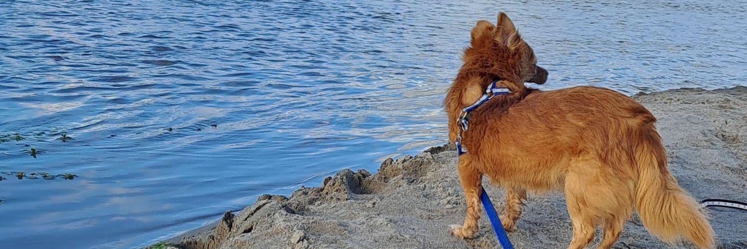 MLescanooo_'s profile banner image