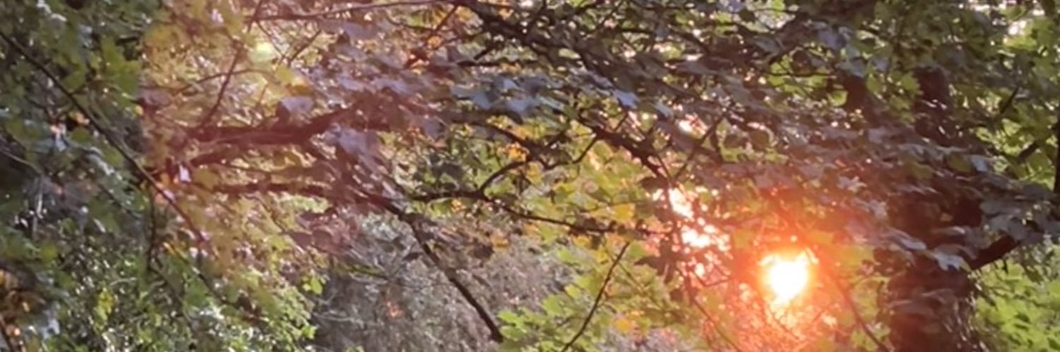 Cathy Dalton banner