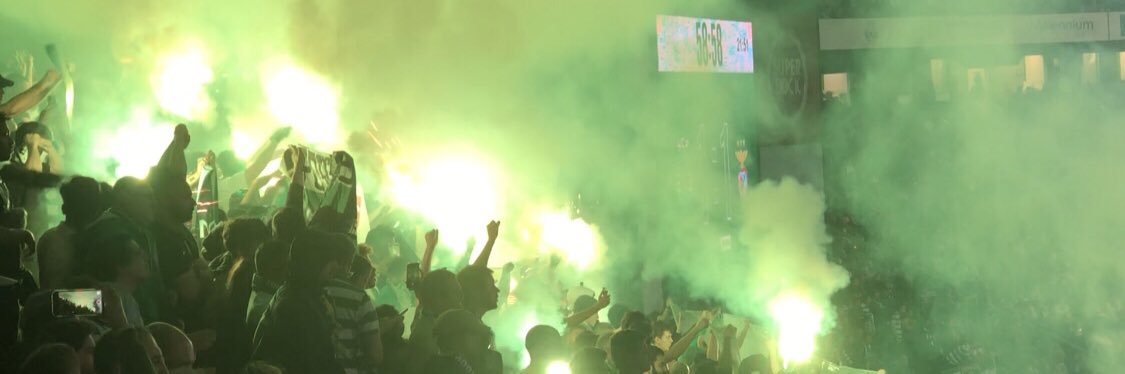 Ana Moreira banner