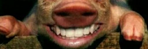 Wichy544's profile banner image