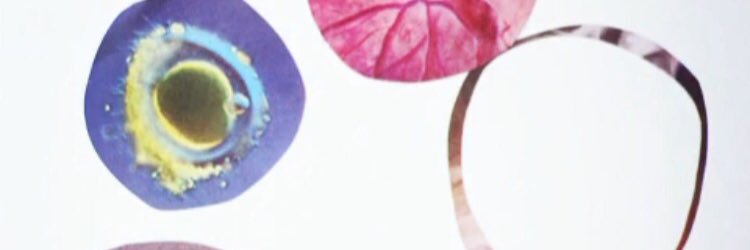 hcmmorg's profile banner image