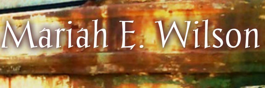 MariahEWilson's profile banner image