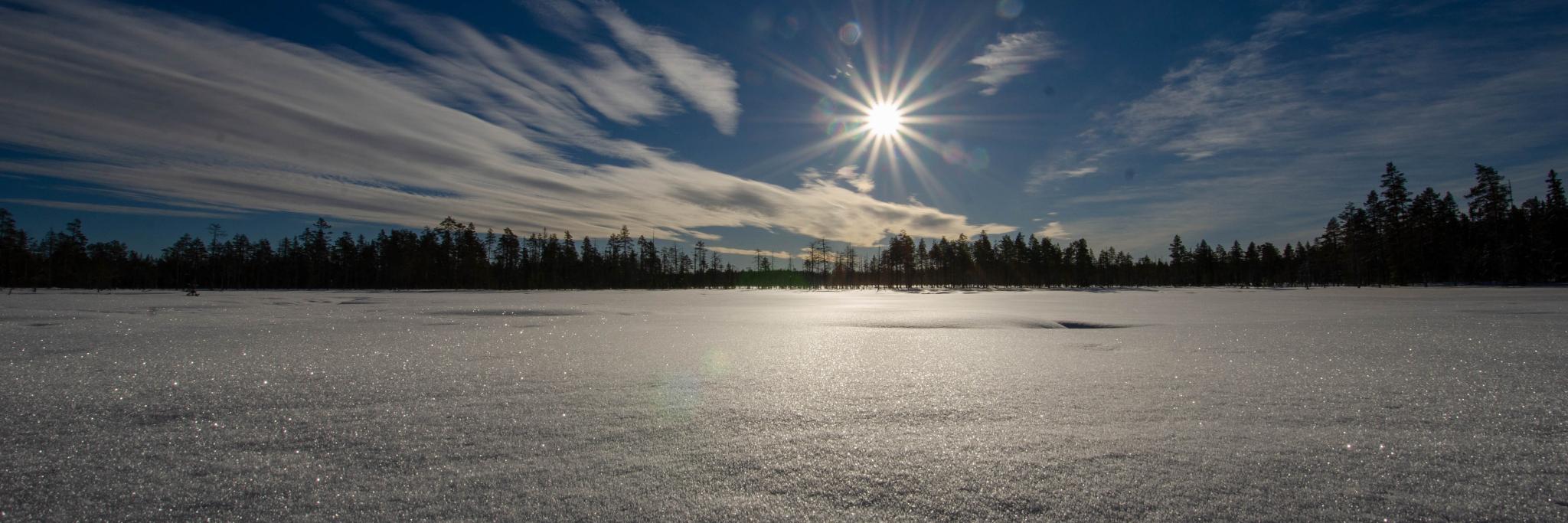 Frederik R B Olsson banner