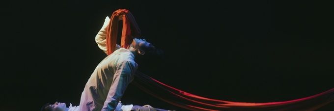 SON(๑˙❥˙๑) banner