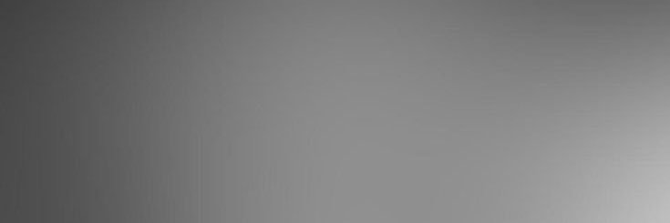slee banner