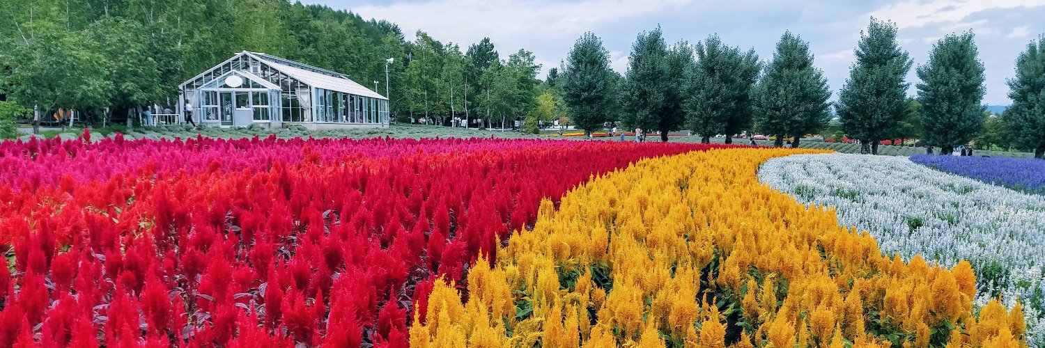 Sebastian Witowski banner