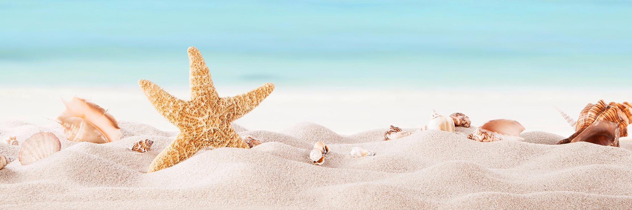 SearsTravel's profile banner image