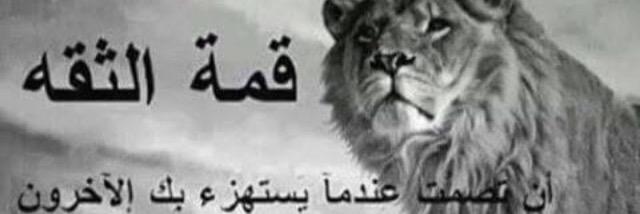 mrbeen444's profile banner image