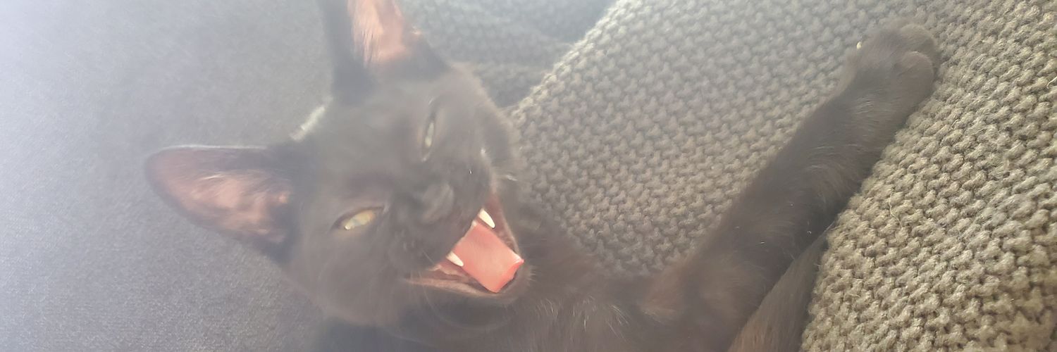 kittykatkelso's profile banner image