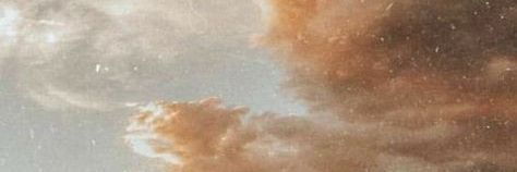wwo.sney229 banner