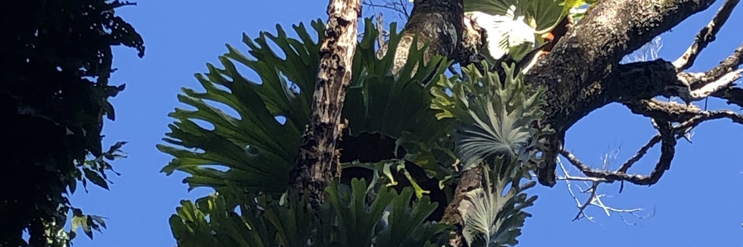 MeredithGibbon2's profile banner image