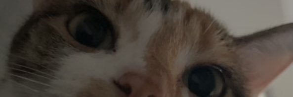 Taylor__24's profile banner image