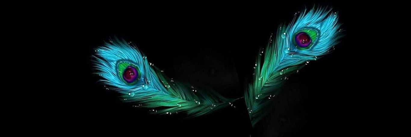🦋Anjna🦋🇮🇳's banner