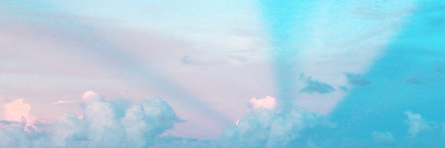 sofigarza01's profile banner image