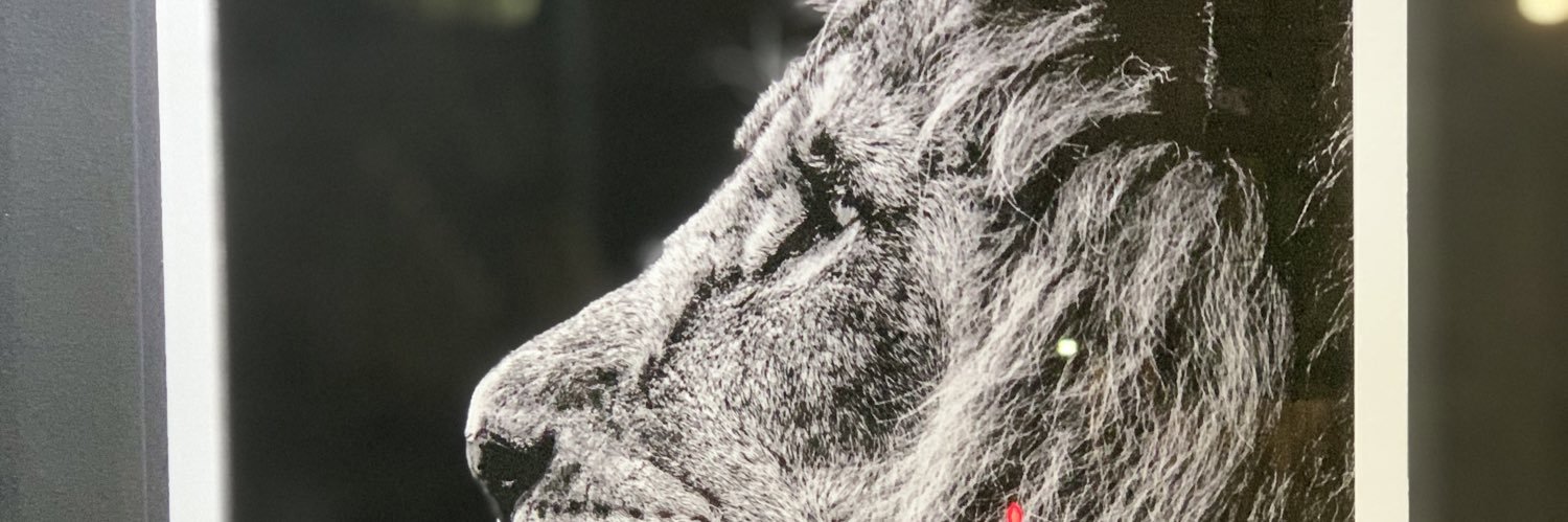 Lion4KSA's profile banner image