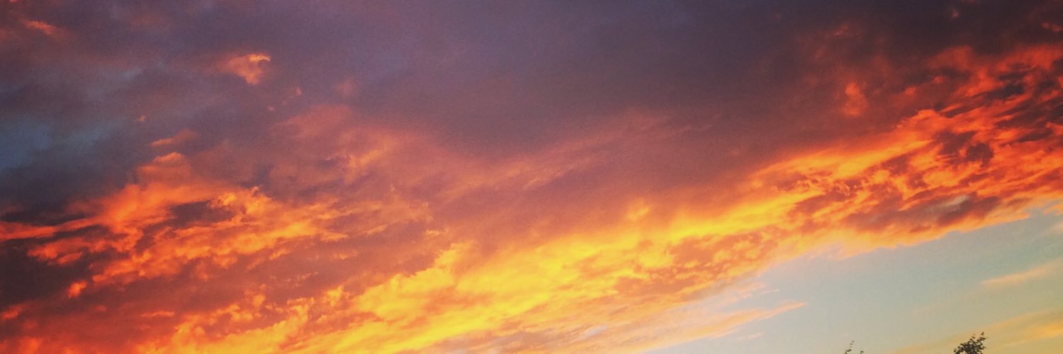 ShowboyBlake's profile banner image