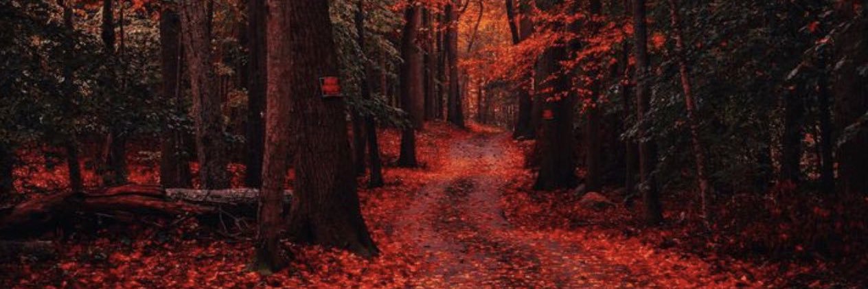 Nothing But Love banner