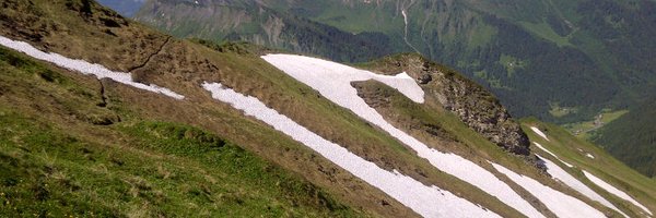 RobStone20 Profile Banner