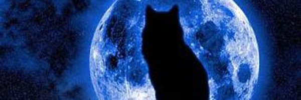 TsukiOokami3 Profile Banner