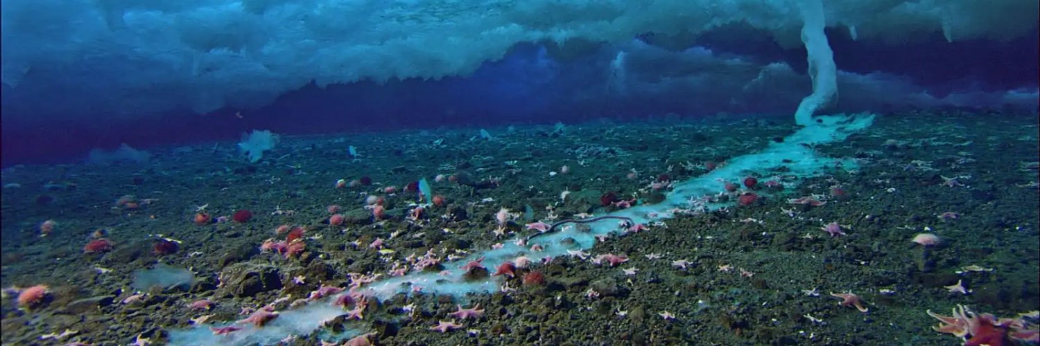 Ğ Ë Ň Ë Š Ì Š🏴‍☠️đëł🏴‍☠️Č Ł Ü B🏴‍☠️ banner