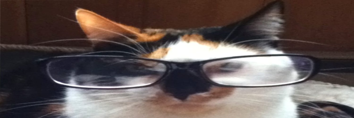 gato de bosta banner