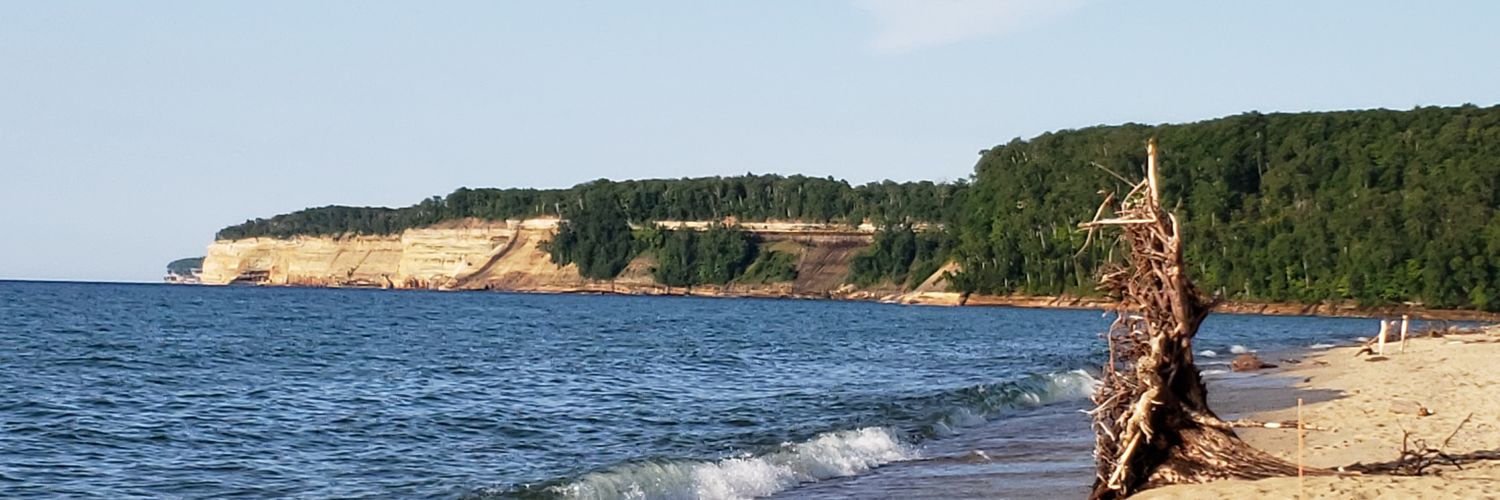 lmcarmichael2's profile banner image