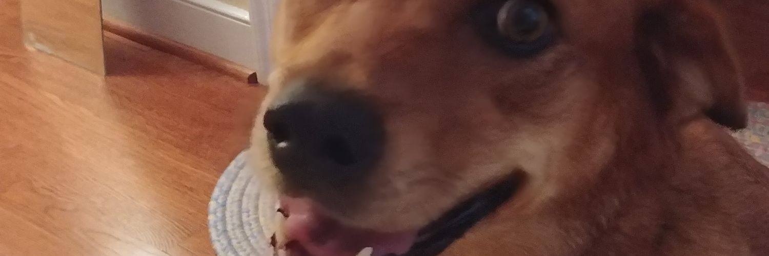 NateMazzini's profile banner image