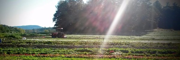 JuniperFarm Profile Banner