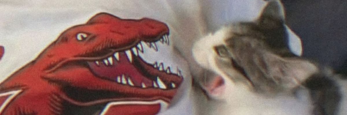 redisazappa's profile banner image
