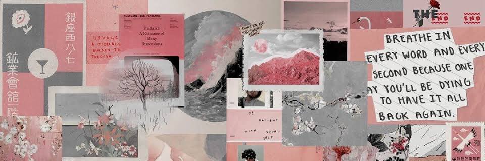 ericavitoriahey's profile banner image