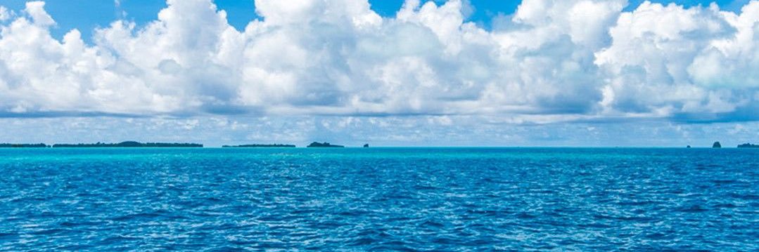 Vincent van Grogh⚔️🛡️⚜️ banner