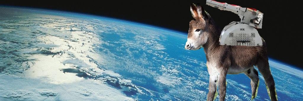Space Donkeeeee banner