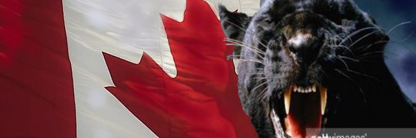 ManonPanther Profile Banner