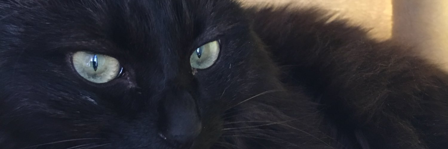 サンディ (Soundwish) banner