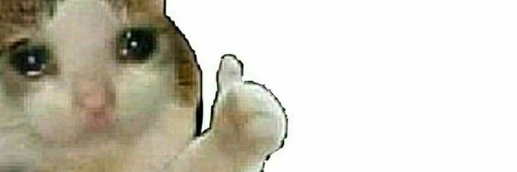 abckaru1's profile banner image