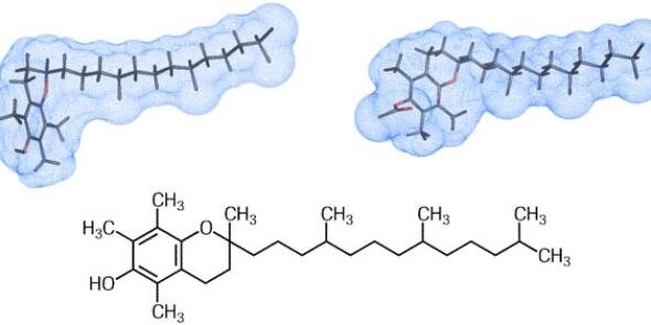 a_tocopherol's profile banner image