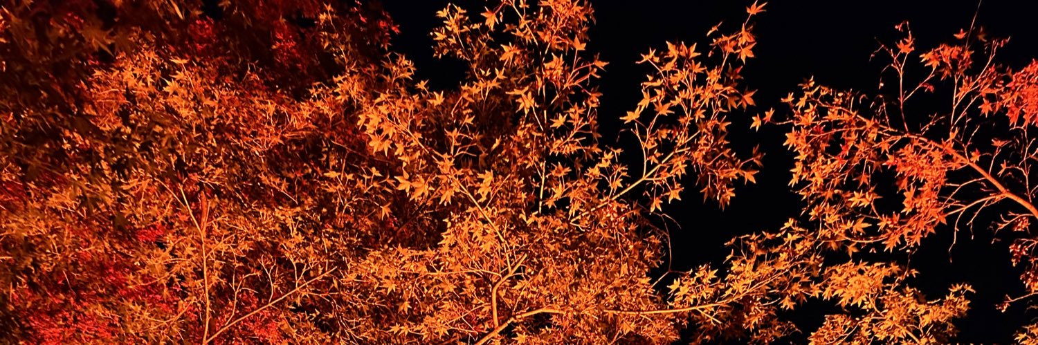 track1211yk's profile banner image