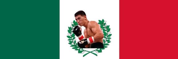 Don🥊 banner
