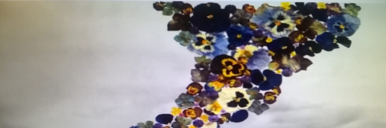 lulichuPoch's profile banner image