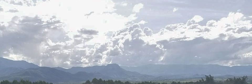 _lafers's profile banner image