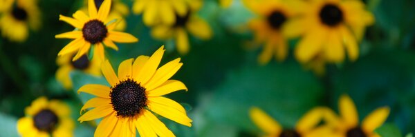 atroythomas Profile Banner